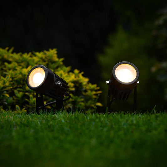 Spotlight garden lighting 