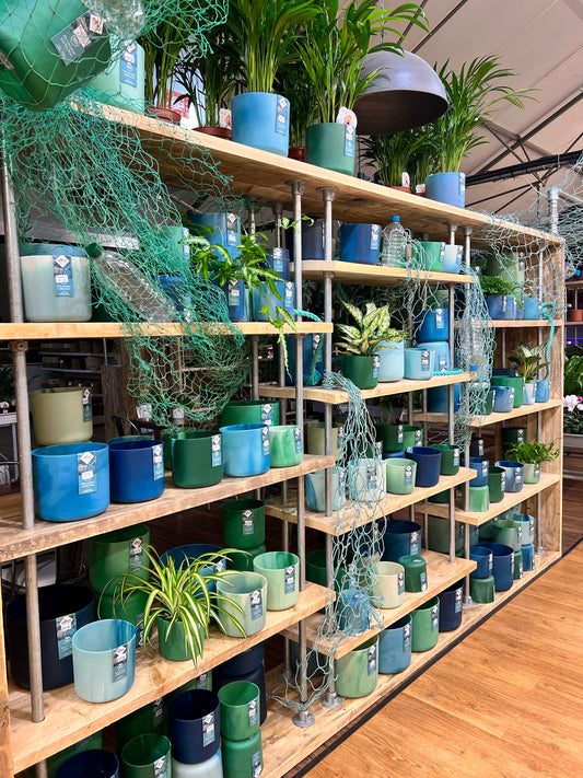 Wall of plants and plant pots