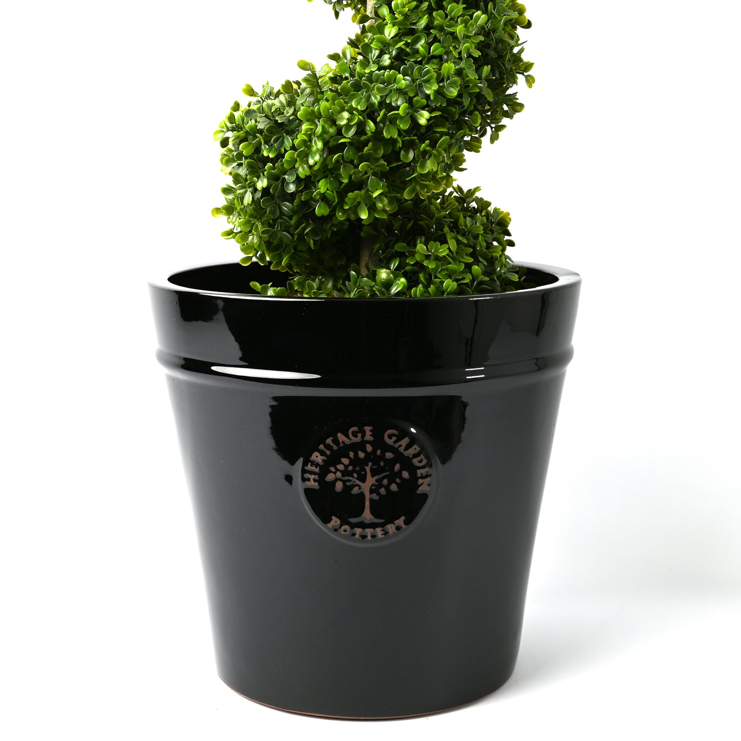 Small Outdoor Pot with green tree