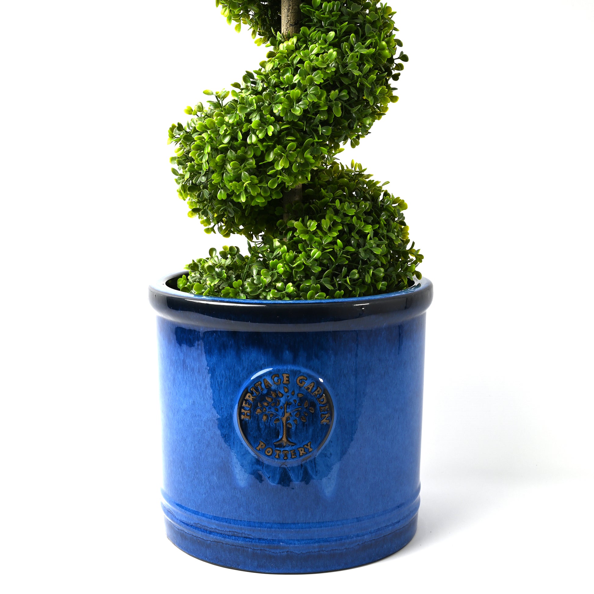 Swirly green tree in blue ceramic pot