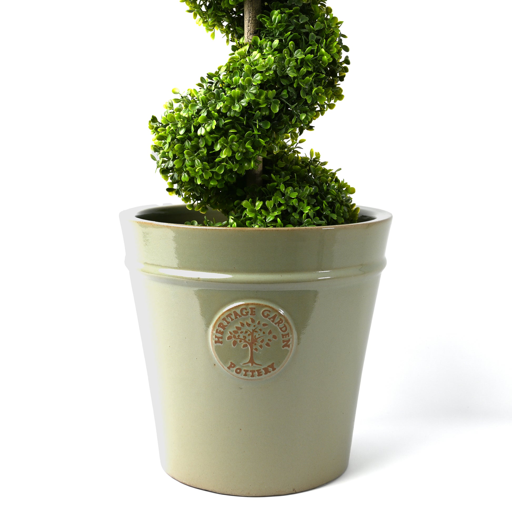 White background with green pot and topiary