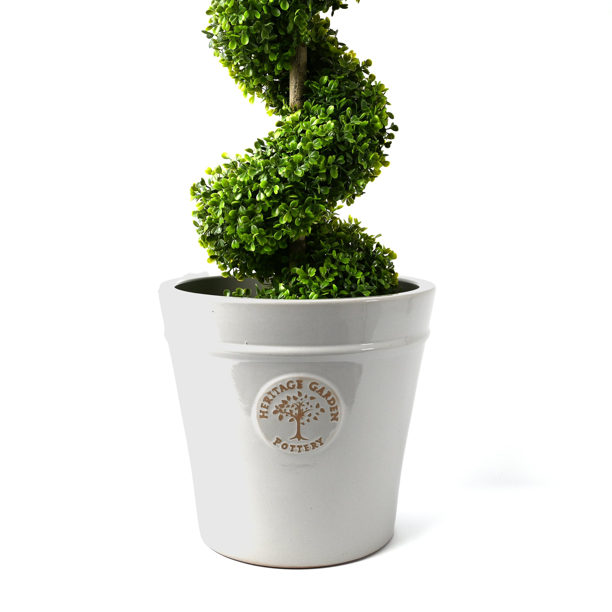 Green well cut plant in grey garden pot